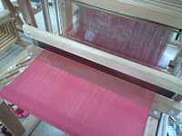 このごろのこと 2009/06/09 19:09:44