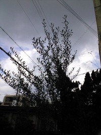 ぱあっと回復 2010/01/03 19:53:22