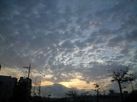 おひさひぶり、でございます 2010/02/12 19:48:18