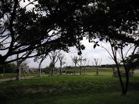 クルクル 2010/03/20 18:51:50
