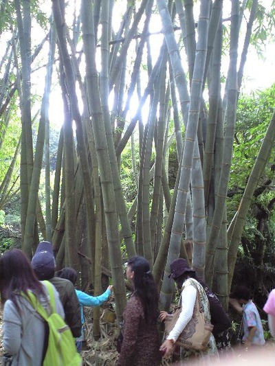 古代をあじわい、恥かさ～に触れる旅