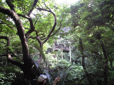 古代をあじわい、恥かさ～に触れる旅
