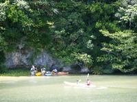 まだまだ泳げます！ 2009/10/12 23:22:34