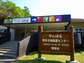 ウフギー自然館