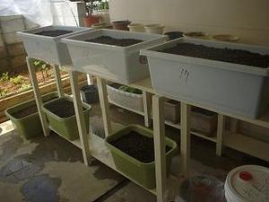 家庭菜園