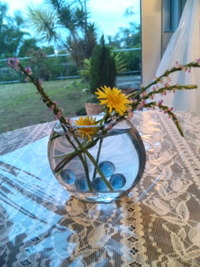 WILD FLOWER 2010/03/03 13:19:59