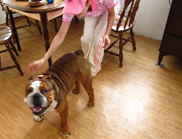 晴天デビュー☆