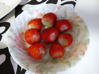 ハーブを使ったお料理♪そしてパン