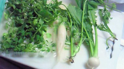 保険付き～七草粥