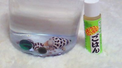 もやし炒め
