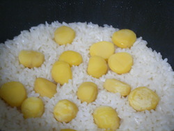 ♥おいしいゴハン♥