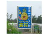 負けるな日本 Never give up