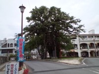 元気に笑顔で！ 2011/05/27 18:09:45