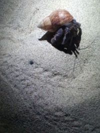 7月1日の記事 2011/07/01 21:36:22
