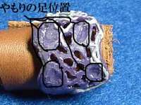 いよいよリングの製作～…o(;-_-;)oドキドキ♪ 2008/06/19 01:29:01
