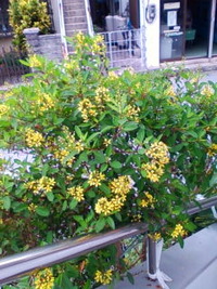 5月27日の記事 2011/05/27 21:29:53