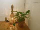 ima cafe。。