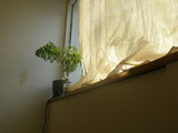 ima cafe。。