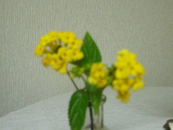 春近し。。