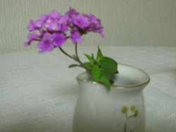 春近し。。