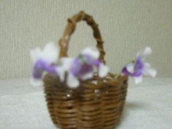 春近し。。