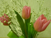 3月。。
