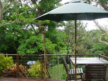 cafe GREEN GREEN