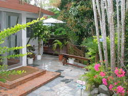 cafe GREEN GREEN