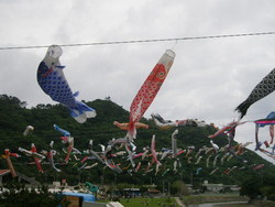 奥ヤンバルの里。。