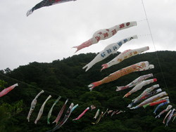 奥ヤンバルの里。。
