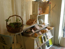 salon cuttho。。