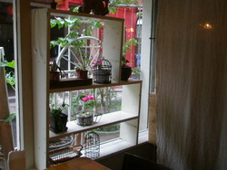 salon cuttho。。