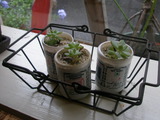 salon cuttho。。