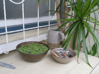sora potters work