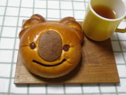 パンダとコアラ。。