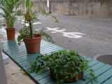 ORENGE DECO