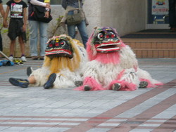 日曜参観。。