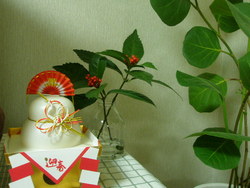 お花。。