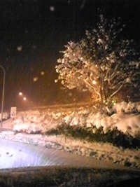 猛吹雪スノー