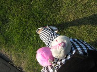 ♪♪♪ 2009/09/12 19:50:00