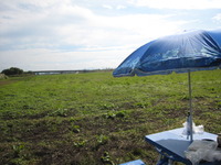 せっかくの・・・ 2009/10/17 22:24:26