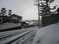 家の前も雪・・ 2010/01/14 00:03:00