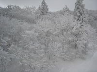 樹氷 2010/01/17 22:32:10