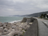 冬の海 2012/02/02 18:01:11
