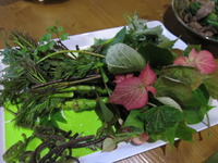 山菜てんぷら 2012/02/04 19:34:02