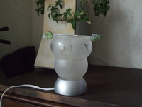 やっと届きました☆ 2009/11/12 10:27:55