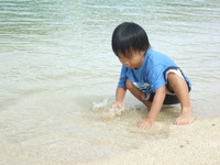 脱力系 2009/12/04 15:36:17