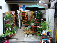 かわいい実 2009/10/15 15:02:33