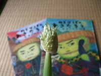 実写版！？　あさたろう。 2010/05/27 21:25:11