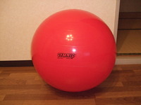 チアリーディング！ 2010/09/23 06:04:00